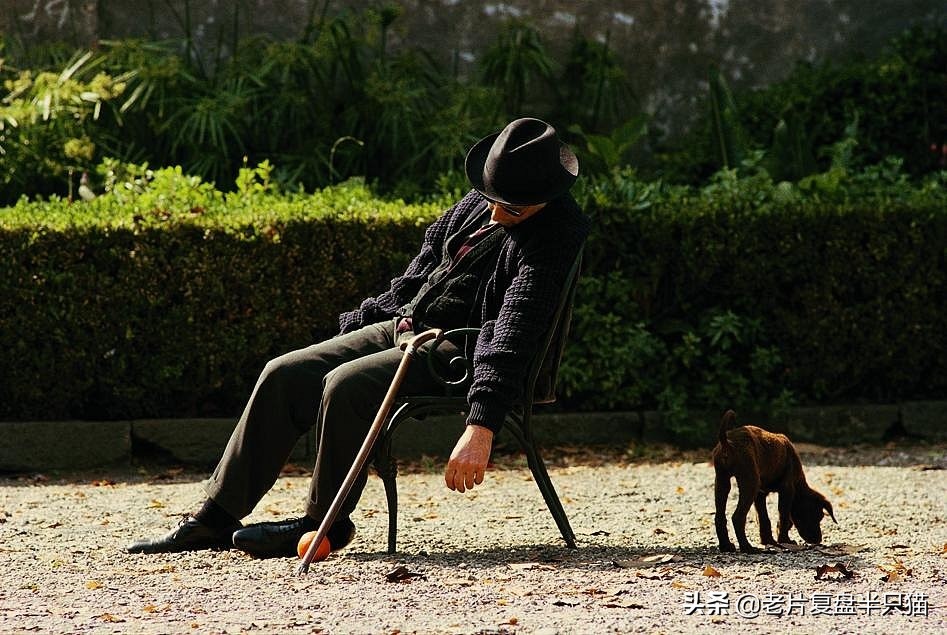 麦克孤独终老一个传奇从这里开始,一个传奇又从这里结束.