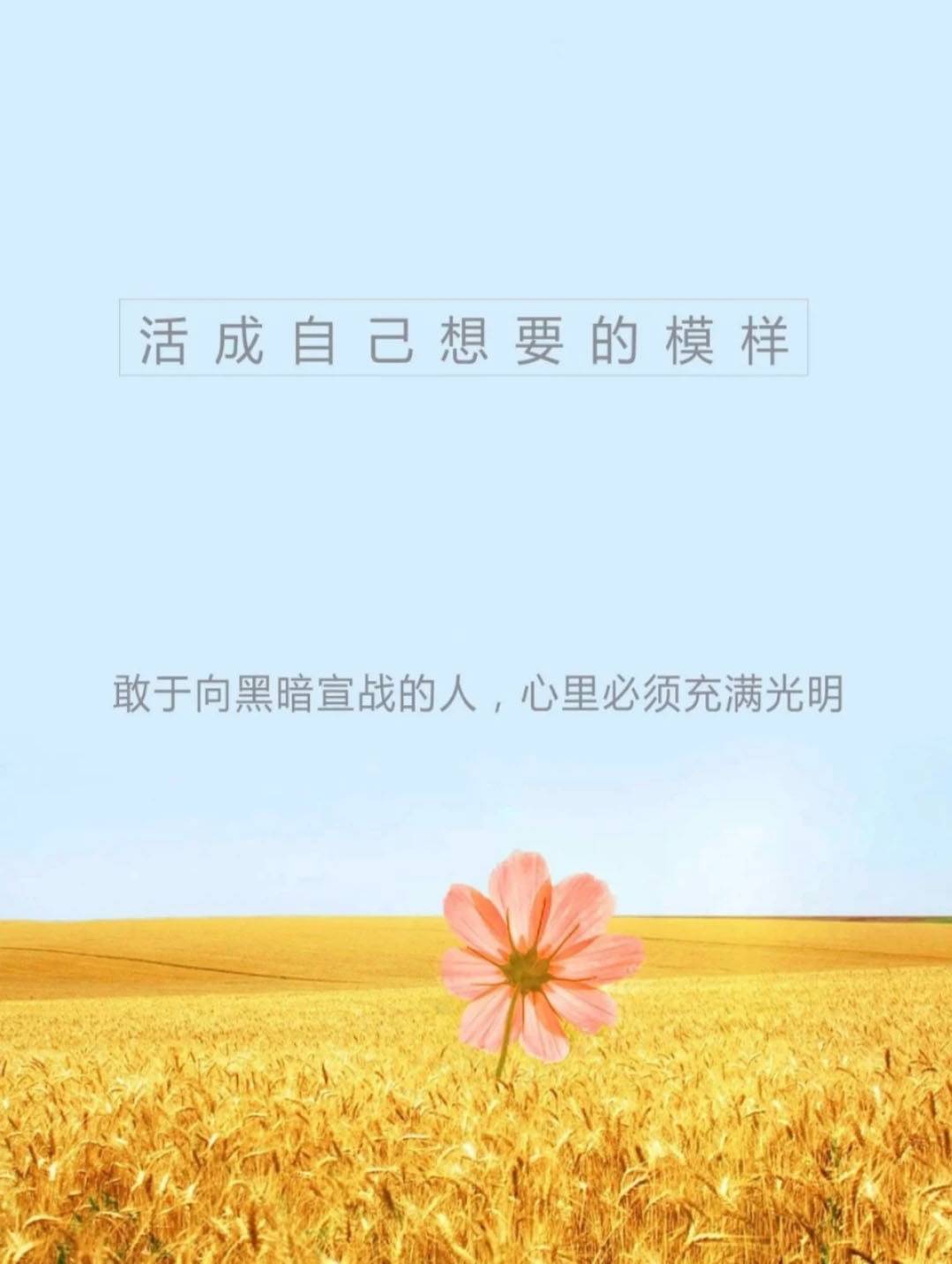 励志语录 不要抱怨，心怀善念，坚持做自己喜欢做的事