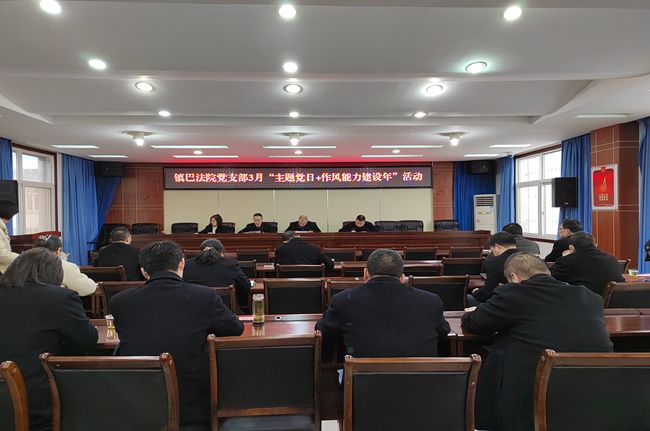 镇巴法院党支部开展3月“主题党日+作风能力建设年”活动