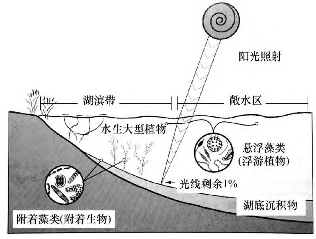 知识分享 | 水生态系统的五大生态要素特性