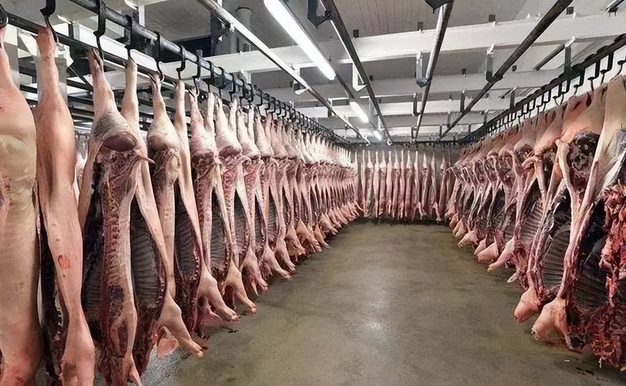 38元/公斤,屠宰场收猪成本陡增,定点屠宰场.猪出厂均价也大幅上扬!