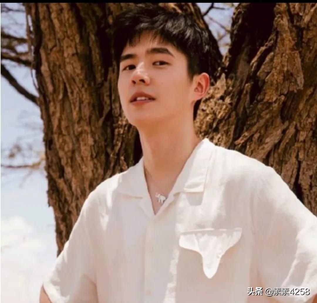 中国内地演员刘昊然