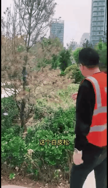 峰景园林智慧管理云平台应用场景——群众问题上报