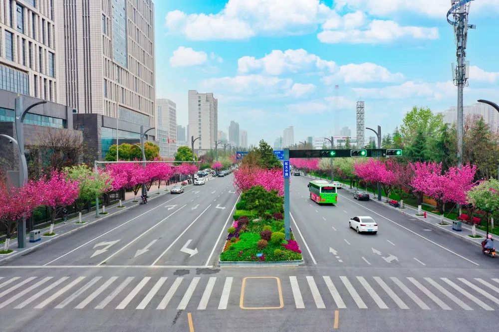 ������ء�ӣ���޶��������������ȡ��ۡ���