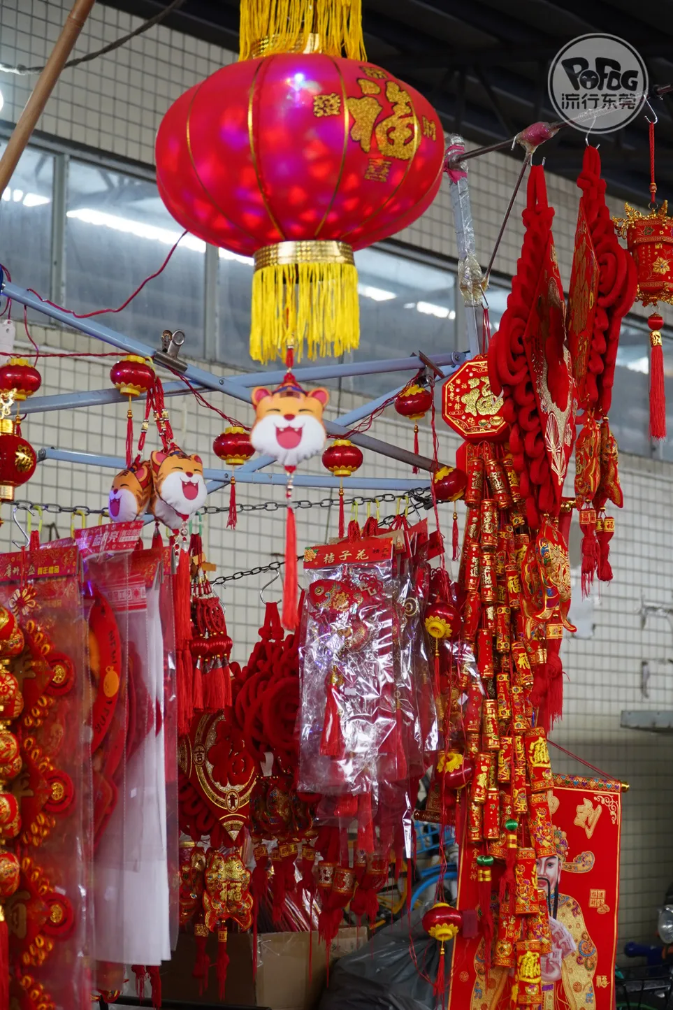 " 流行东莞-popdg.com