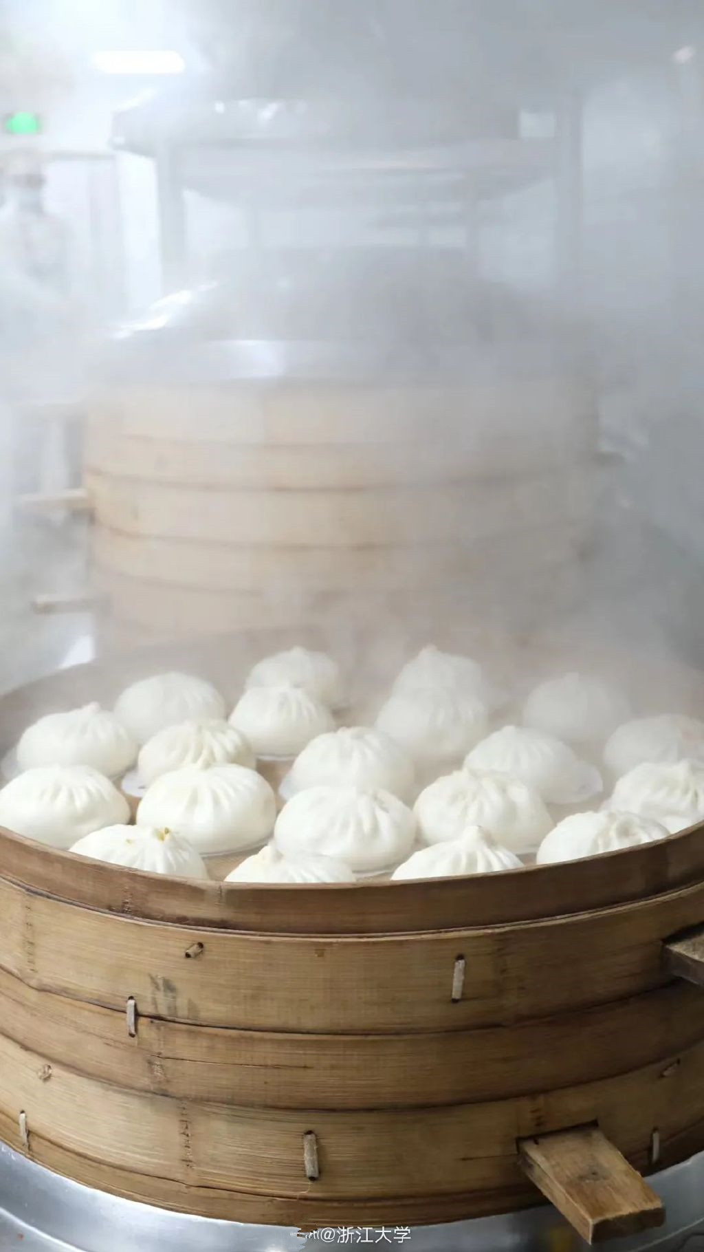 浙江大学的伙食有多好？食堂都是“学霸”级别！想不胖都难