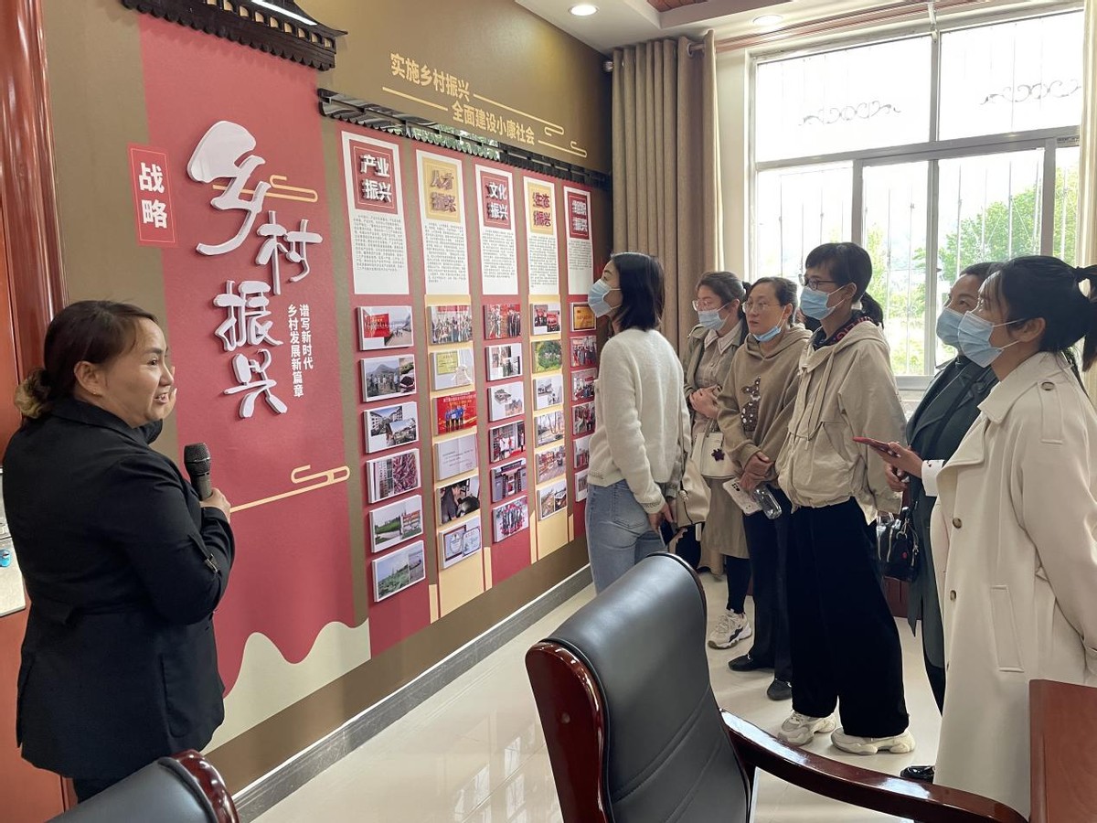 桐柏县月河镇：组织人大代表、政协委员开展视察活动