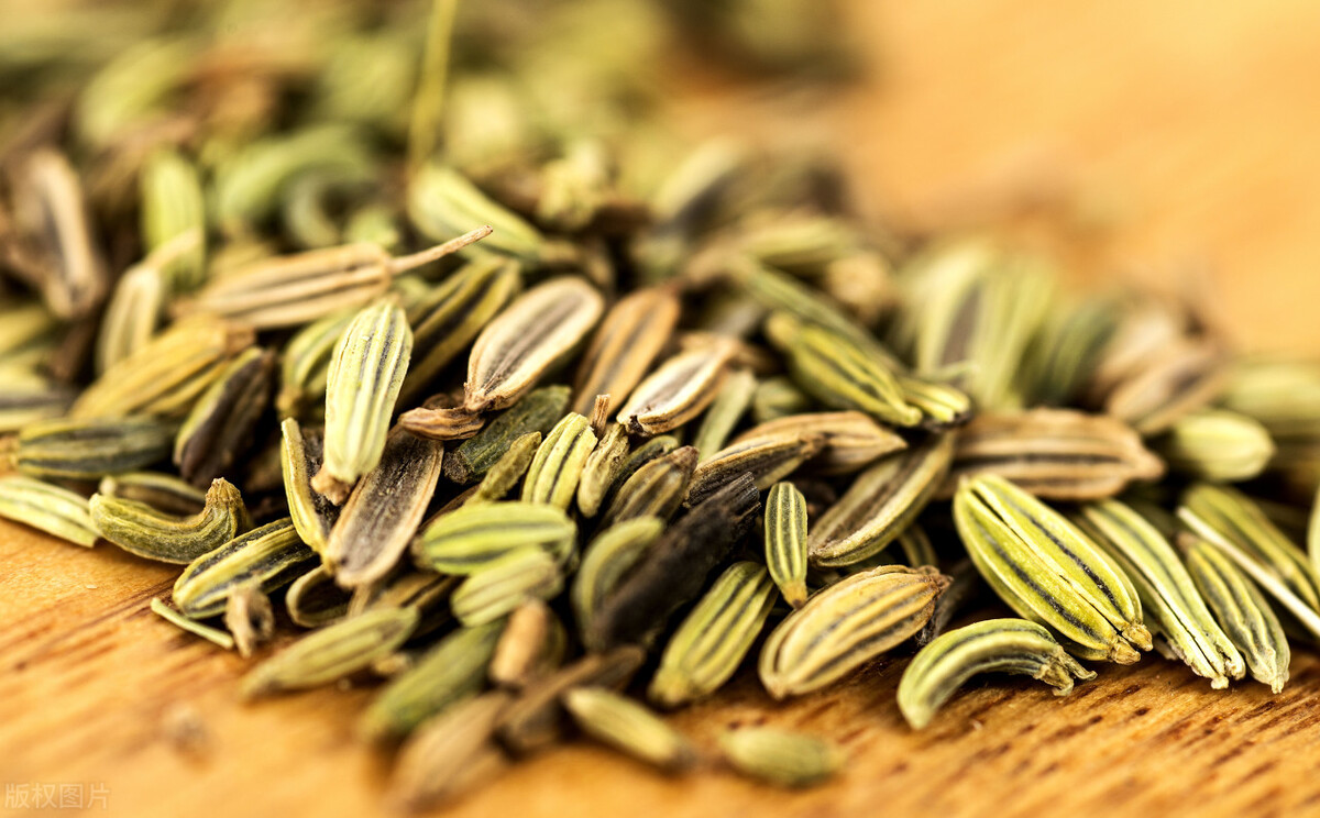 小茴香的功效与作用 小茴香怎么吃-文化号
