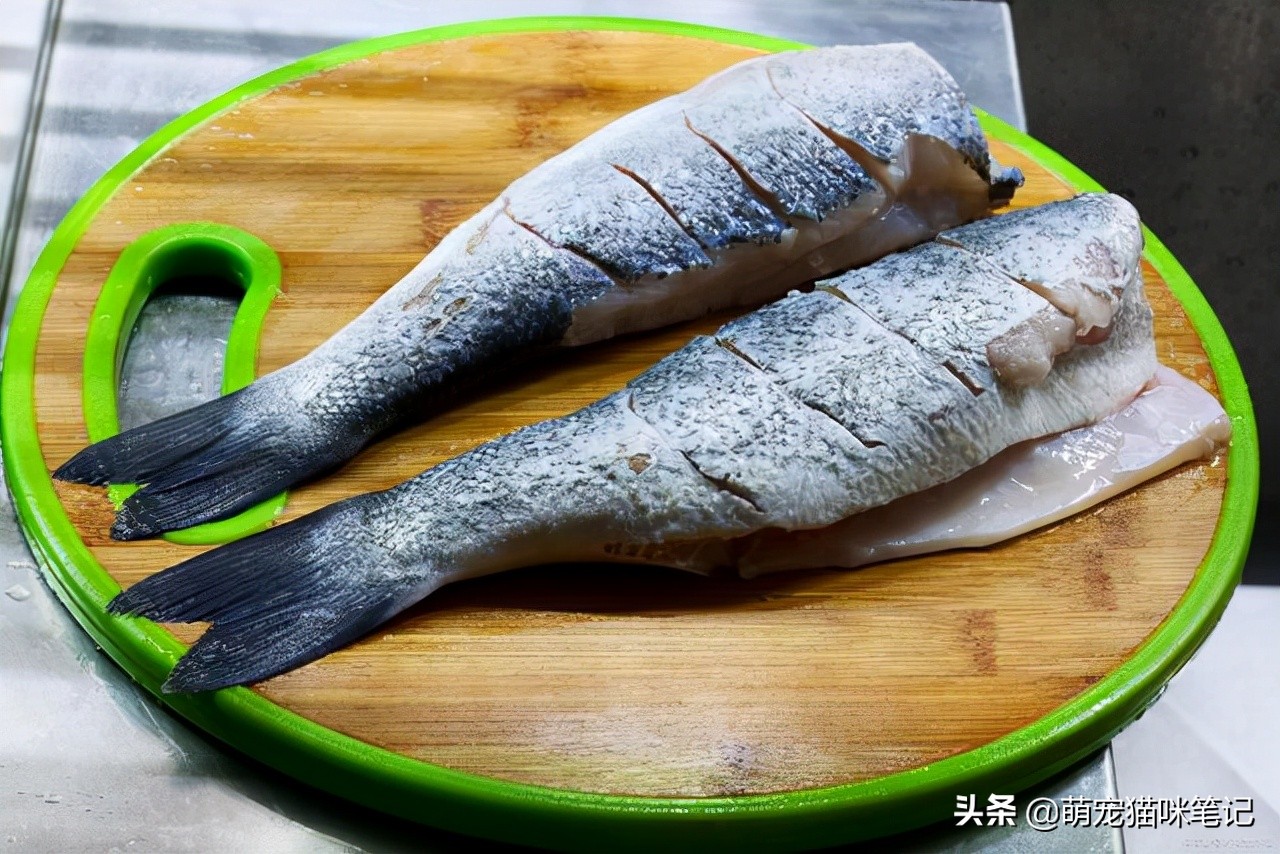 猫吃过的东西人还能吃吗