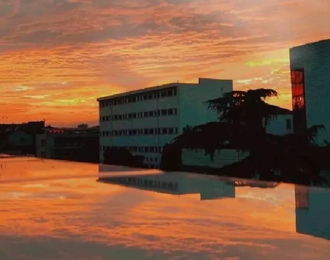 值得摘抄的经典语录/文案