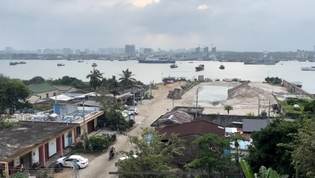 去海南,探访椰子潮流背后的秘密
