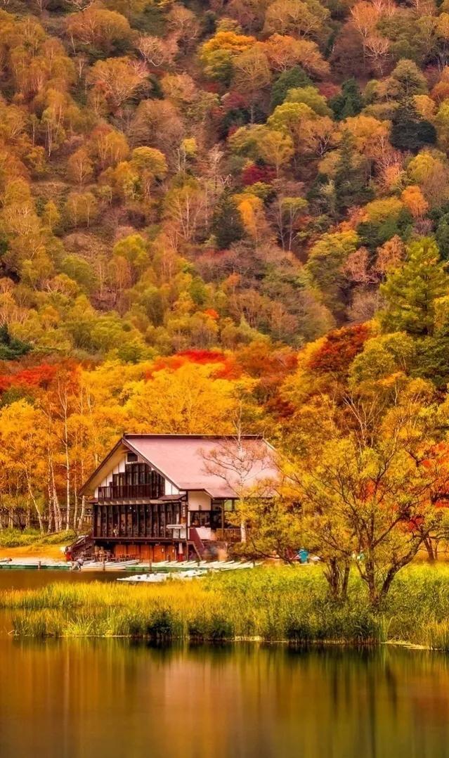 美丽的秋景图片实景(顶级绝美秋色美景60幅,五彩斑斓,绚丽迷人)