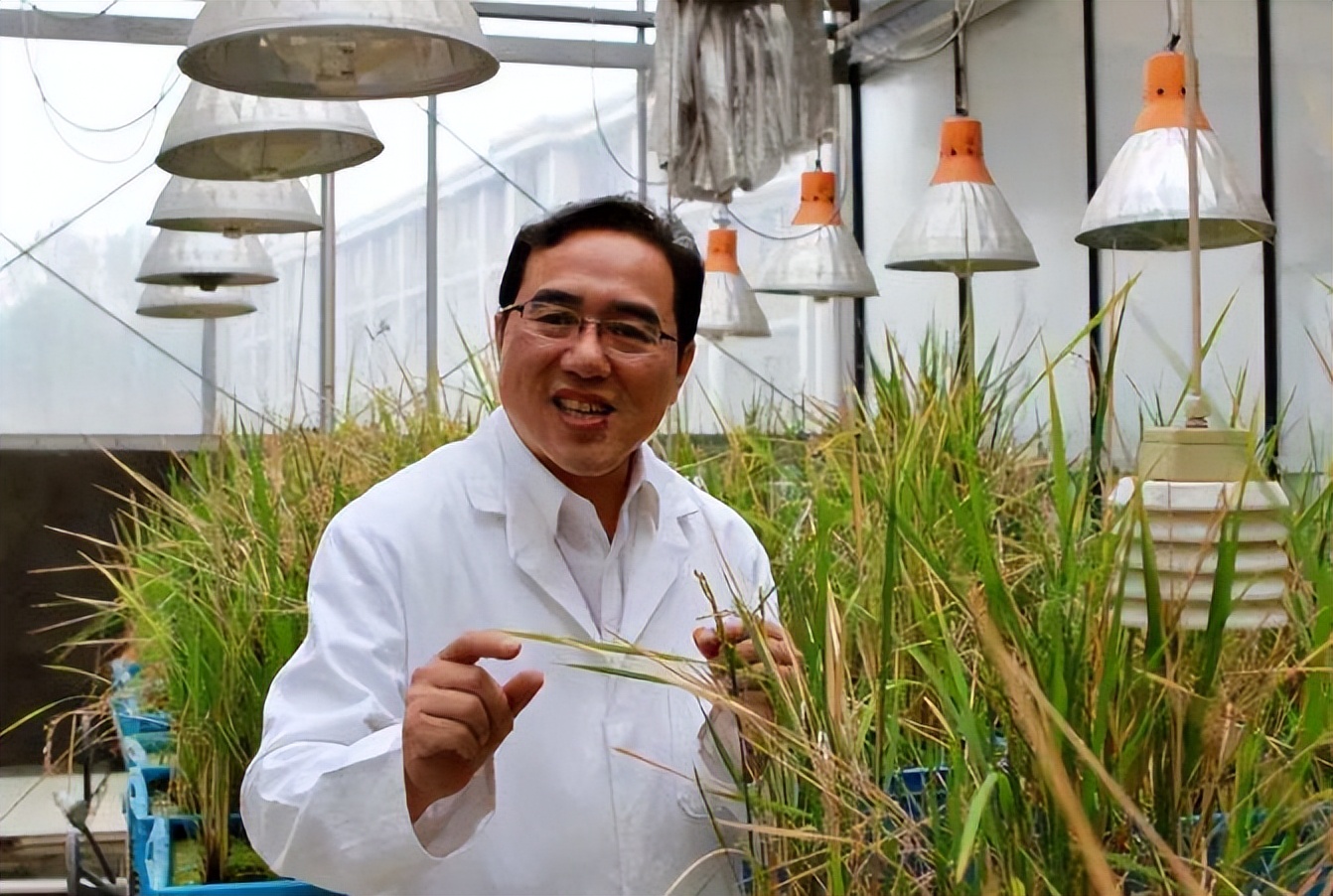 水稻院士除了袁隆平，还有好多