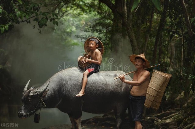 江苏一农民家庭三姐弟 2 人清华 1 人 211，优秀成绩的背后是什么？