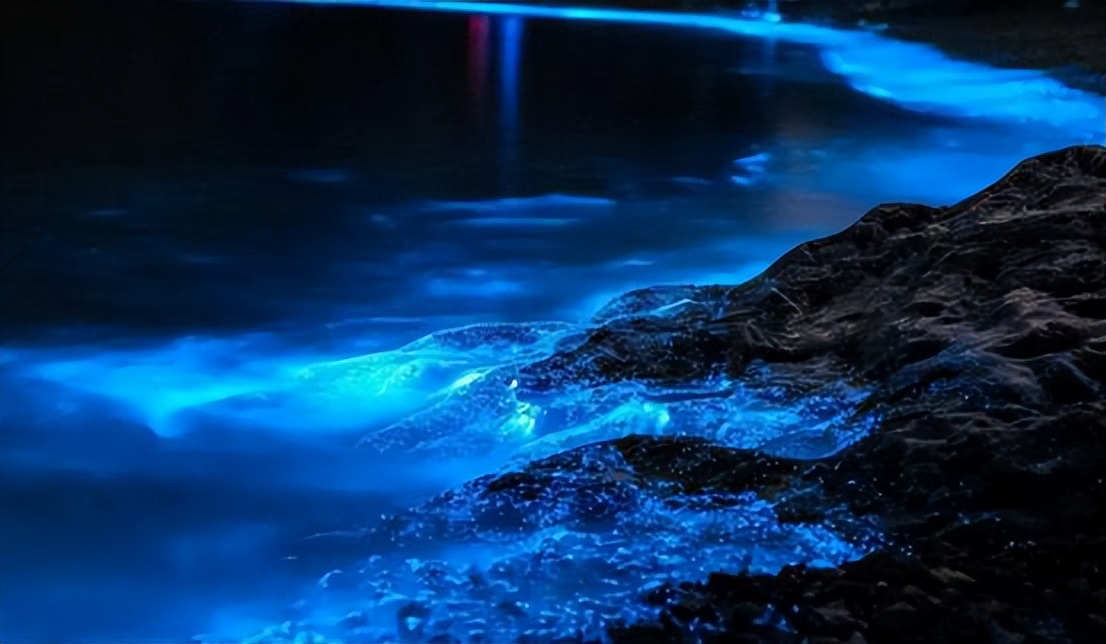 蓝眼泪是怎么形成的(海里的蓝眼泪是怎么形成的) - 武陵观察网