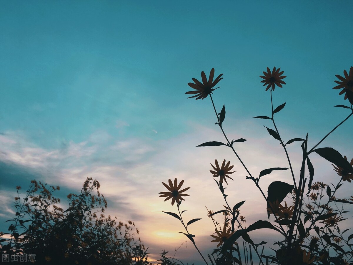 向阳而生，砥砺前行；凡所有相，皆是虚妄