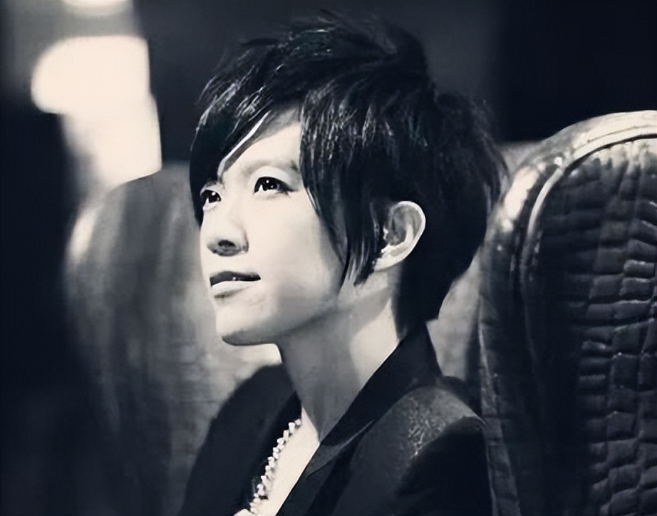 张芸京大起大落的人生