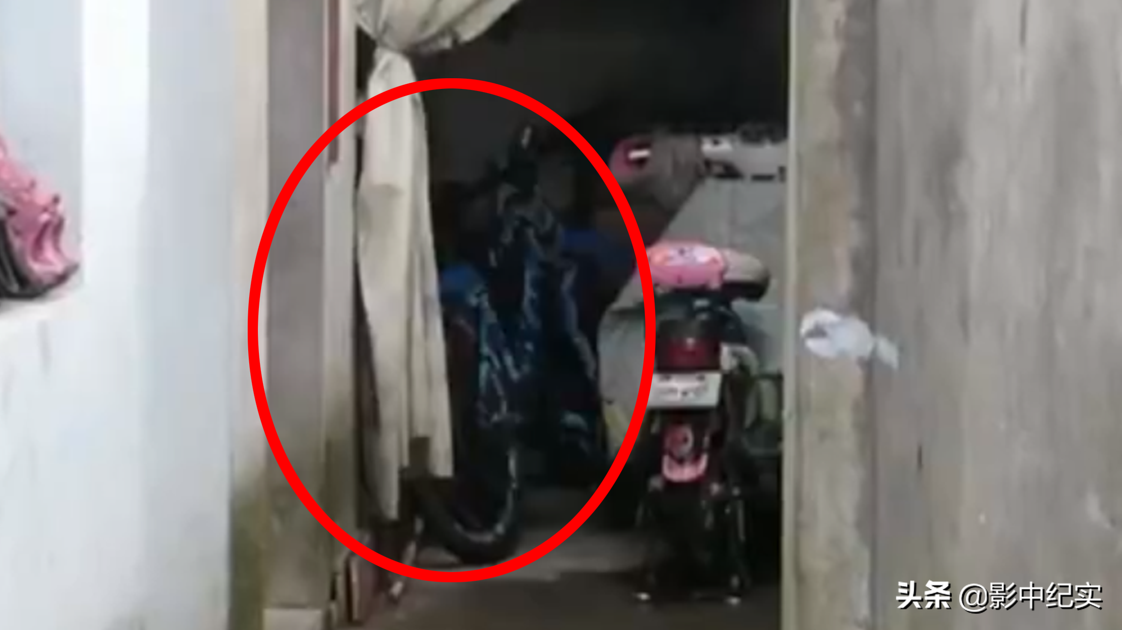 2016年11岁小学生肇事逃逸致人死亡，牵出四方失责人员，法院咋判