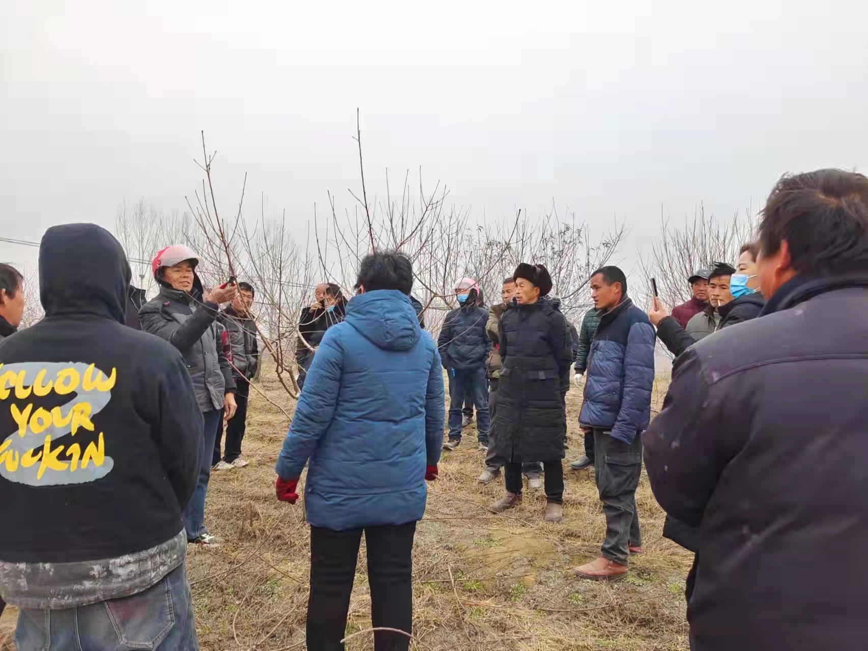 【我为群众办实事】桐柏县黄岗镇扎实开展职业技能培训助力乡村人才振兴