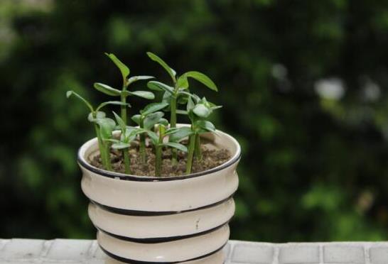 兄弟姐妹交往时，心机越重的人，越喜欢做这几件事