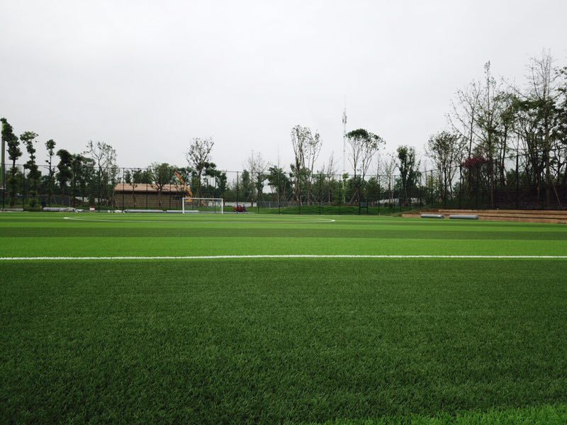 足球场球门多长(五人制笼式足球场的大小有不同的规格和要求)