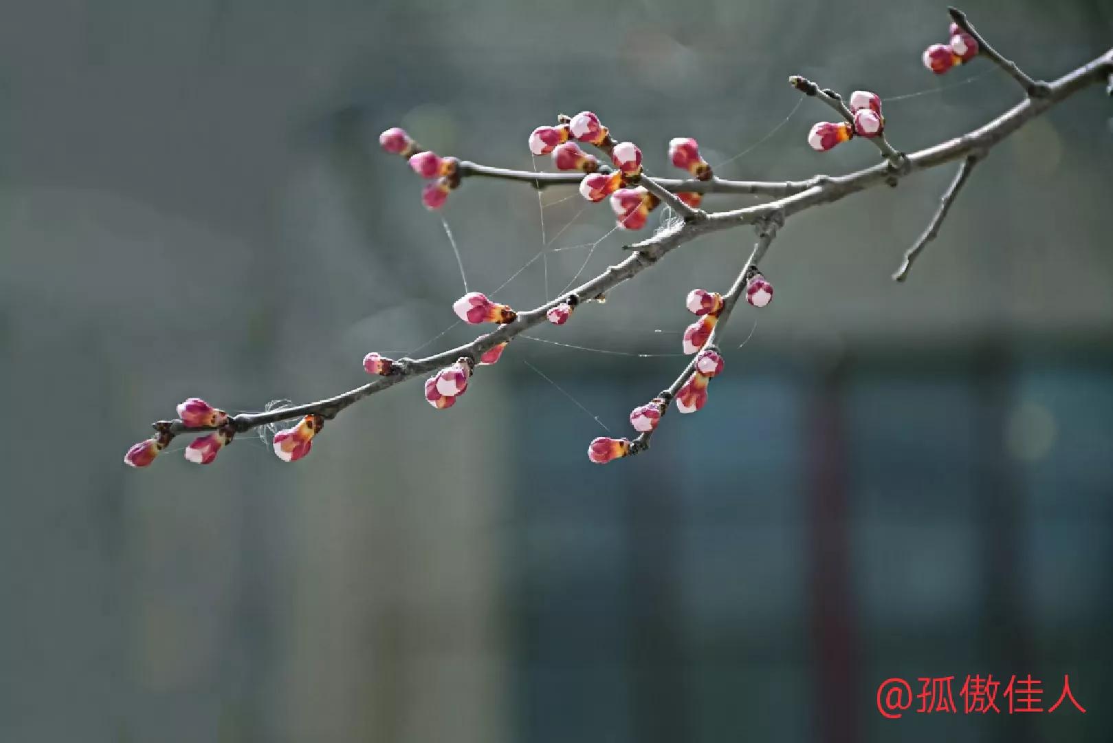 “不管我本人多么平庸，我总觉得对你的爱很美。”读书语录