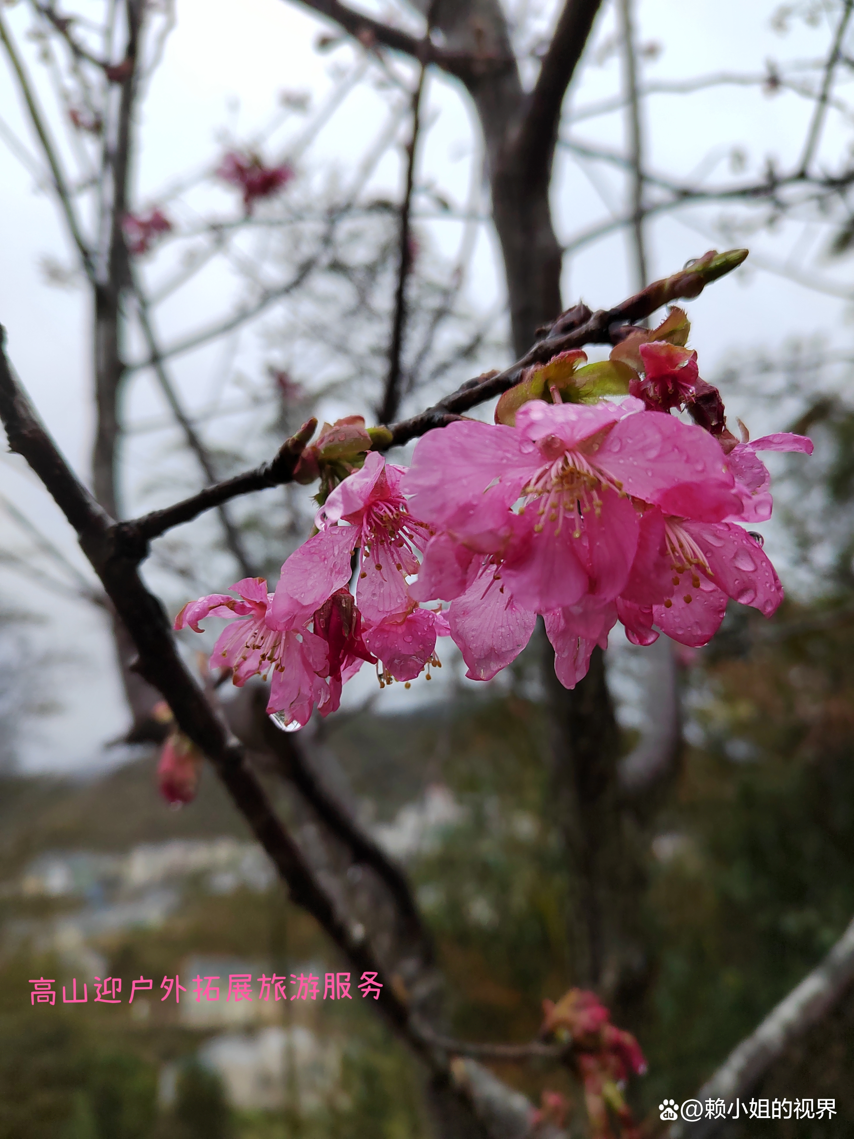 ��ɽ��Ӫ�壬�����׽���Լ����ӣ����