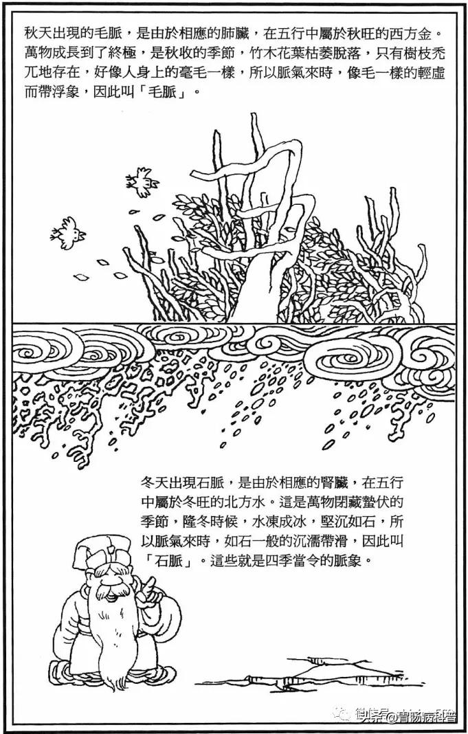 《漫画版八十一难经》第十五难：何谓春弦、夏钩、秋毛、冬石？