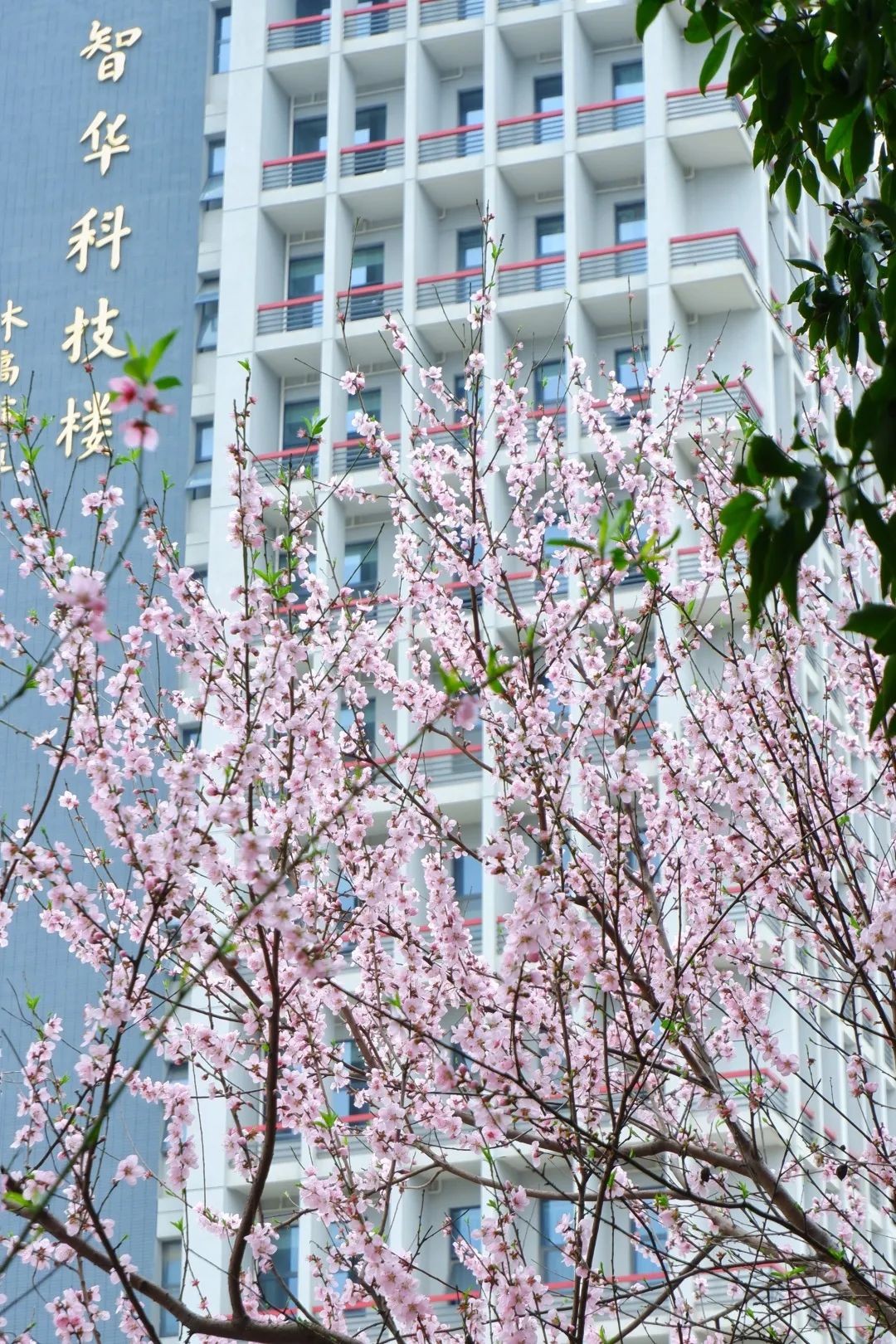 南昌大学青山湖校区南昌大学青山湖校区北区