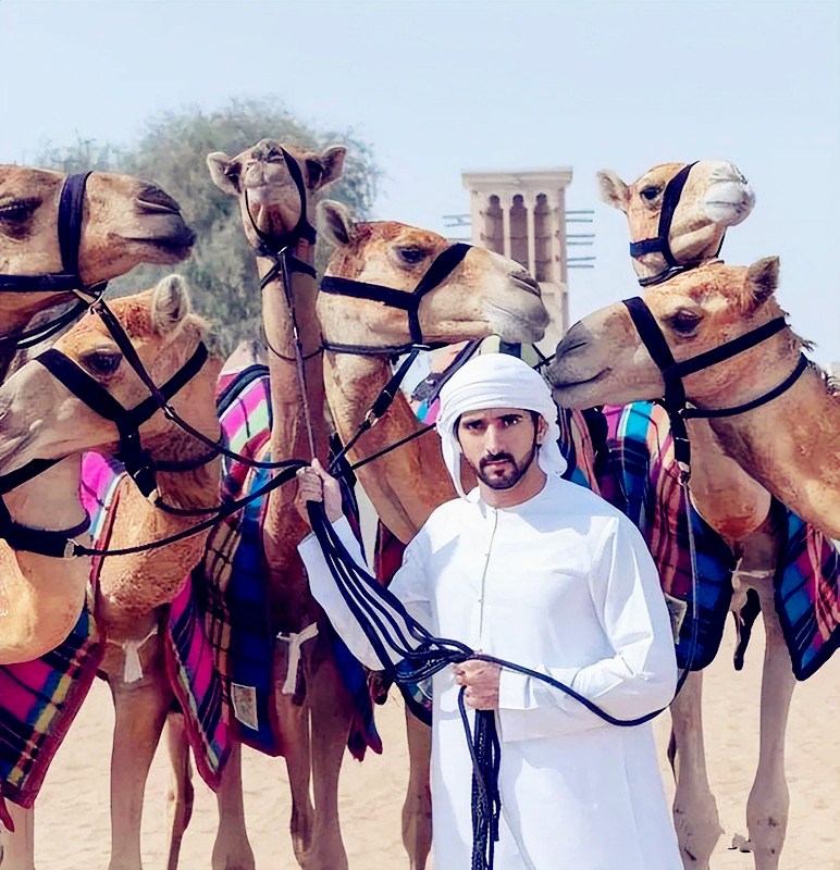 阿联酋迪拜王子(迪拜最帅王子哈曼丹:20架飞机却喜欢徒步,一夫多妻却