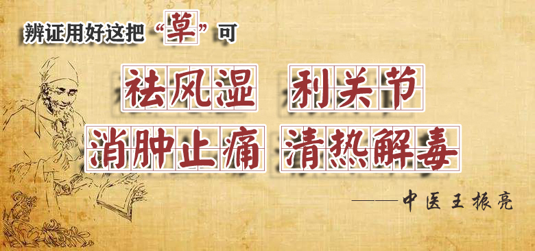 豨莶草怎么读(du)（豨莶草怎么读签）