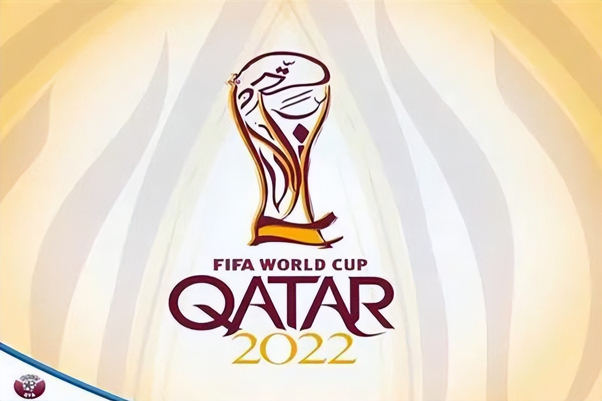 世界杯2010是哪个国家举办（2022年世界杯！卡塔尔这个弱小国家也能举办，凭的竟然就是这个）