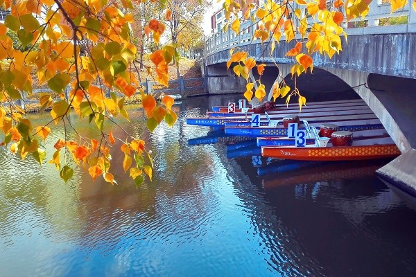 拥有70年历史！上海这所高校：种下最“特殊”的三棵树，价值连城！