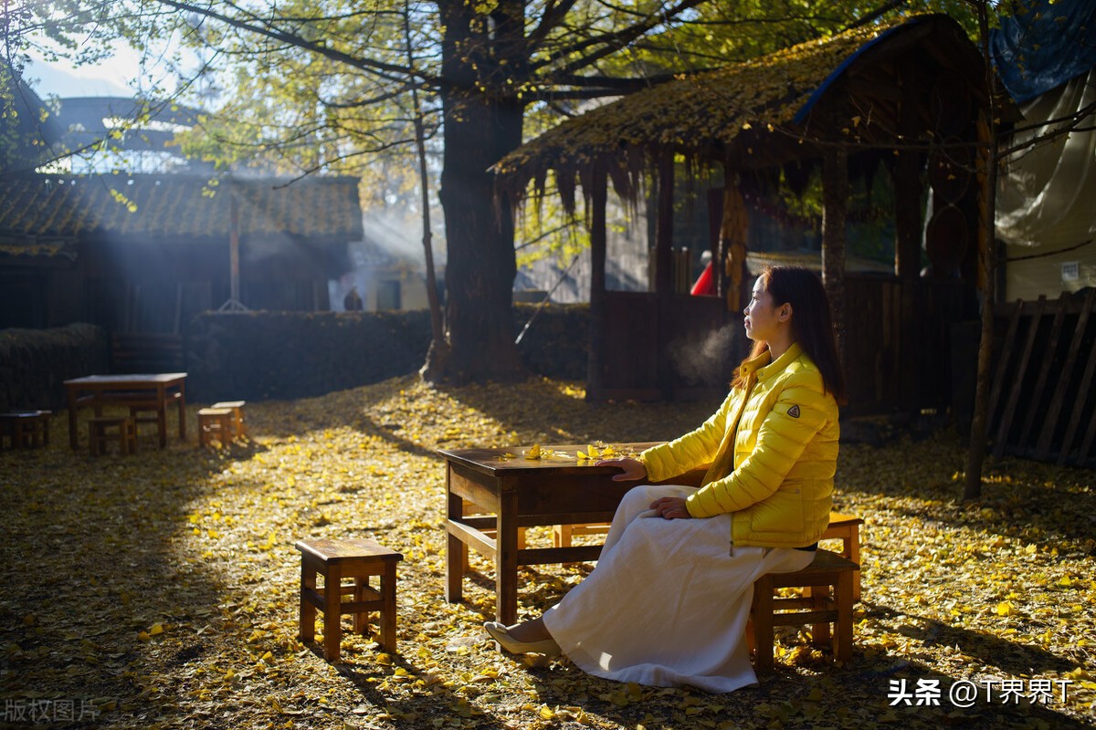 云南体育运动职业学院王牌专业(云南高职专科批录取公告迟缓原因及招生报录特点简要分析)