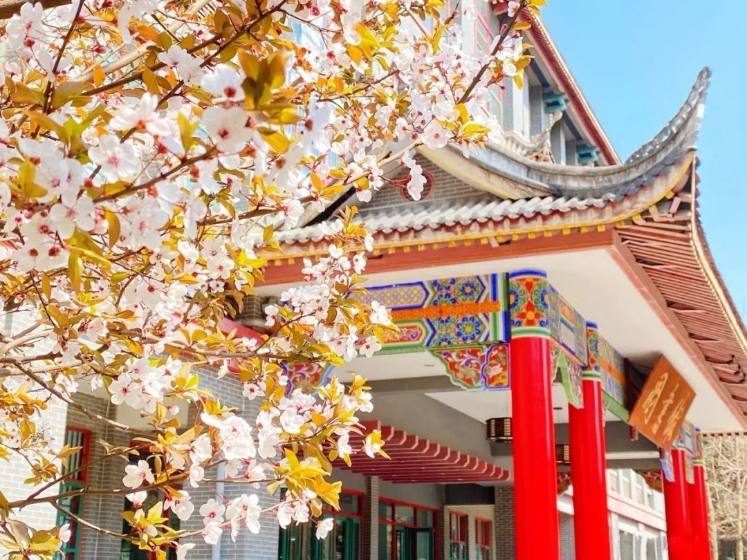 刚刚，2022四川省高考分数线公布！四川大学“全部”招生专业曝光！