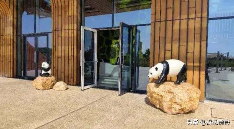 为什么卡塔尔能举办世界杯中国不行（没有中国队的卡塔尔世界杯，中国却是最大的赢家，你知道为什么吗）