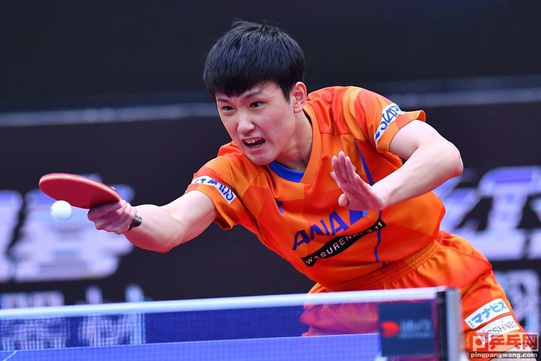 樊振东和马龙交手记录（细数樊振东10年来打的决赛，被马龙伤得最深，一步一个脚印）