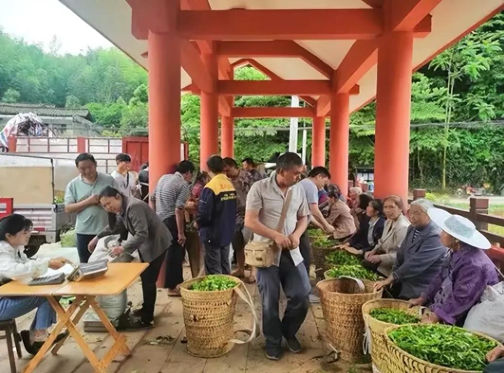 他曾在这里找到了家的安全感(他被人贩子拐卖到福建，坐拥千万家产，亲生父母的选择让人唏嘘)