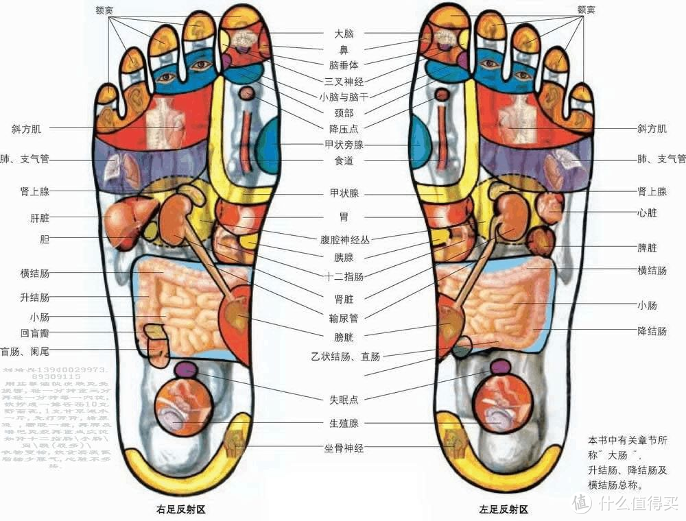 从头到脚都舒服一遍，过年小长假居家躺平攻略