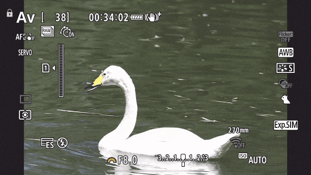 佳能EOS R7评测：全能的便携微单相机