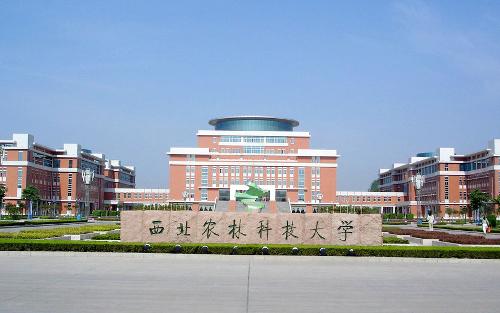 西北农林科技大学和南京农业大学，末流985与顶级211，该如何选择