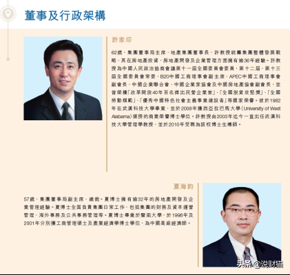 恒大隊員名單2020（許家印血洗董事會！134億存款不見，恒大到底多荒唐）