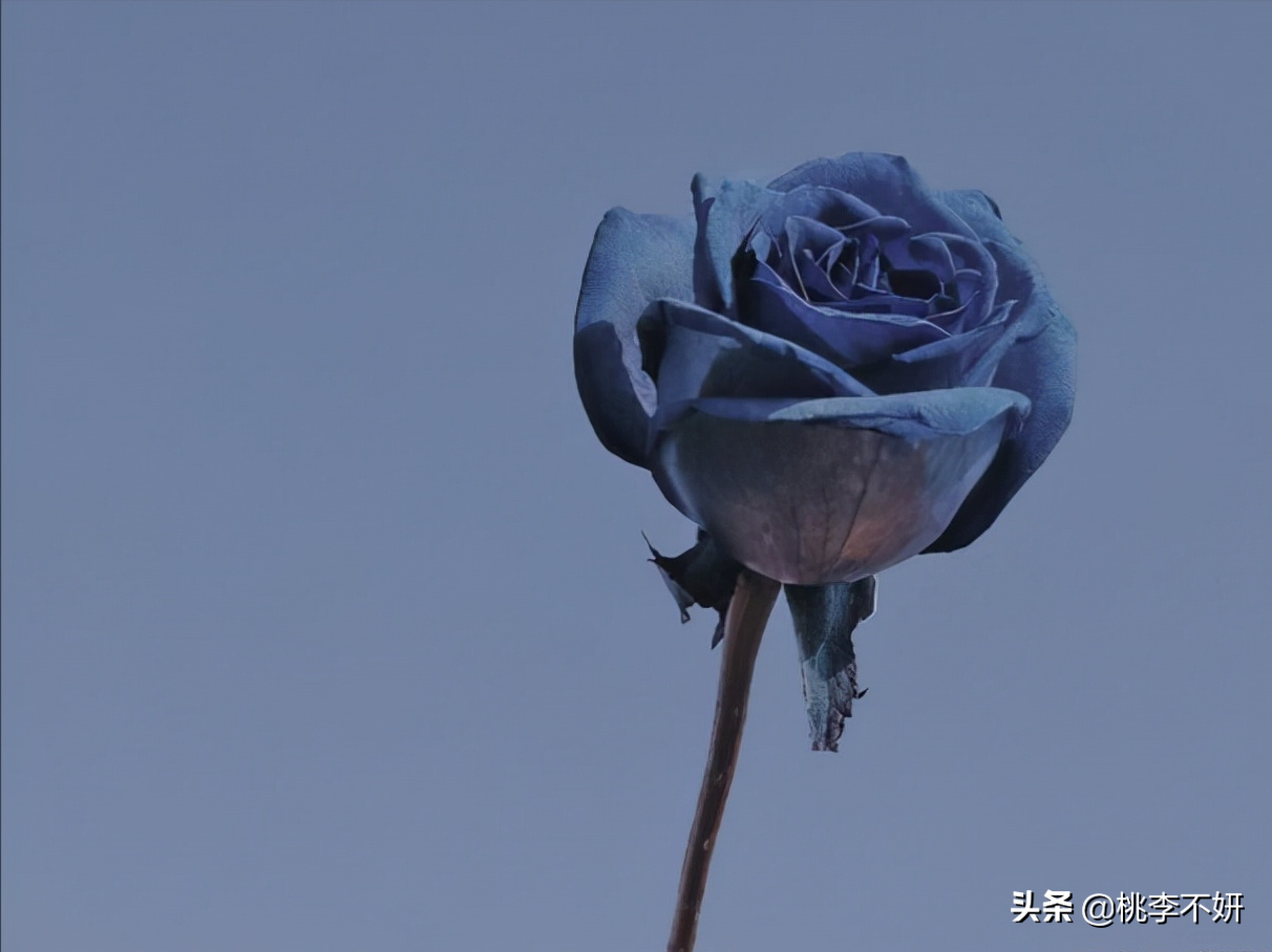 有些朋友圈，该屏蔽了