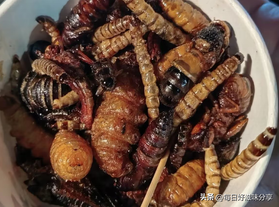浙江男子到山东同学家做客，菜上桌不敢下筷子，虫子能吃吗？