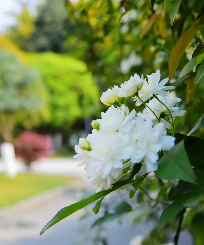 职等你来！优质教师团队，高品质学校，七中实验教师招聘不容错过