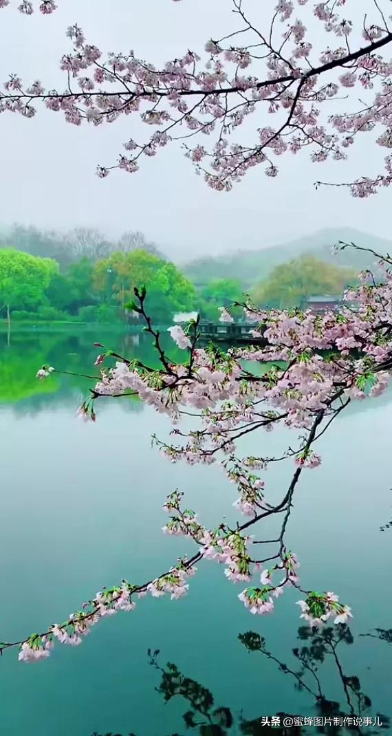 写景的句子优美段落摘抄(赞美大自然美景的优美诗句段落) _力贝号