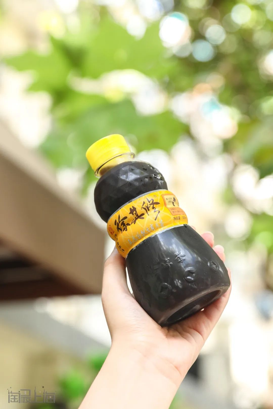 徐其修凉茶加盟(徐其修凉茶加盟后每年多少钱管理费) - oto联盟