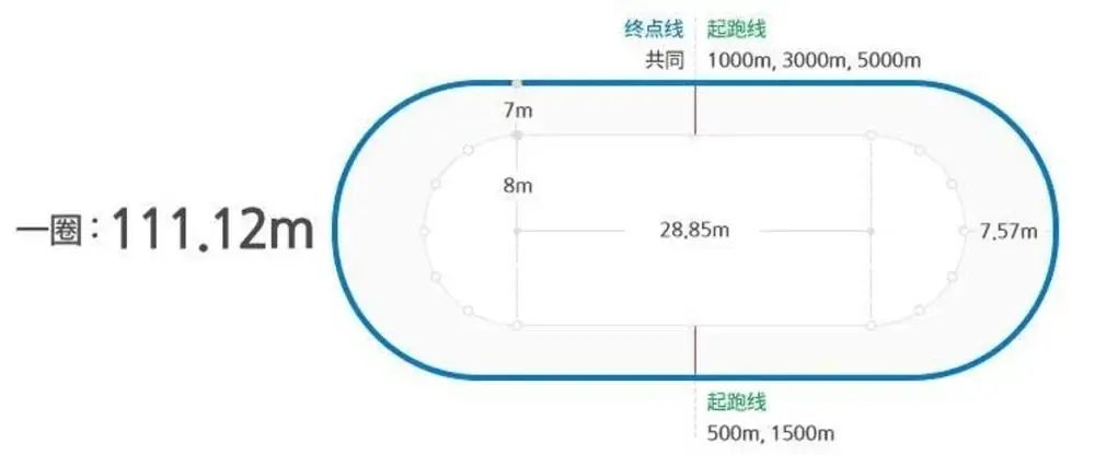 短道速滑起源于什么地方（小虹带你看冬奥 - 决胜在秒的千分位：短道速滑）