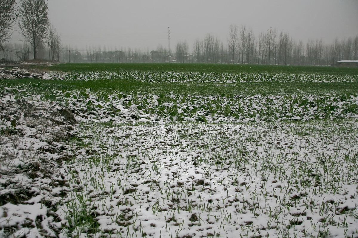 天气预报：雨雪冰冻天气频现，连降10天，春节冷到哭吗？农谚咋说