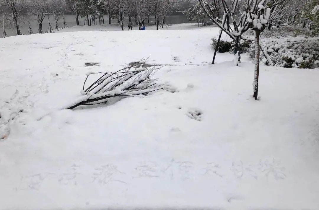 一场大雪一场欢，打雪仗、堆雪人，像小孩子一样激动兴奋